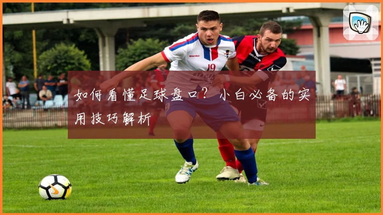如何看懂足球盘口?小白必备的实用技巧解析