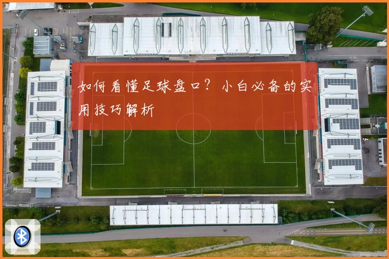 如何看懂足球盘口?小白必备的实用技巧解析