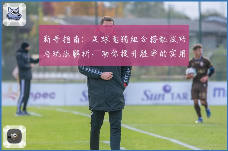 新手指南：足球竞猜组合搭配技巧与玩法解析，助你提升胜率的实用攻略
