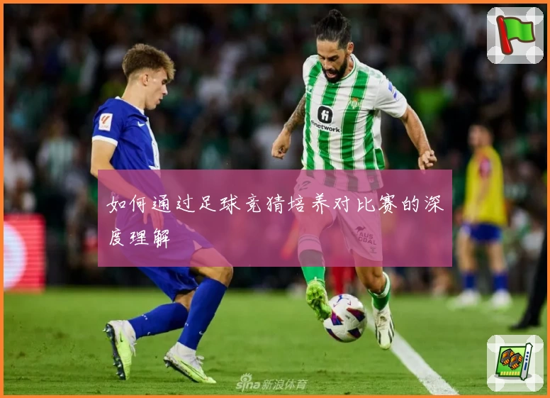 如何通过足球竞猜培养对比赛的深度理解