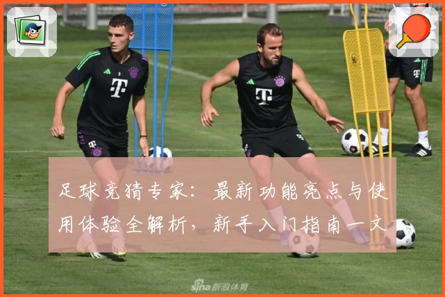 足球竞猜专家：最新功能亮点与使用体验全解析，新手入门指南一文读懂