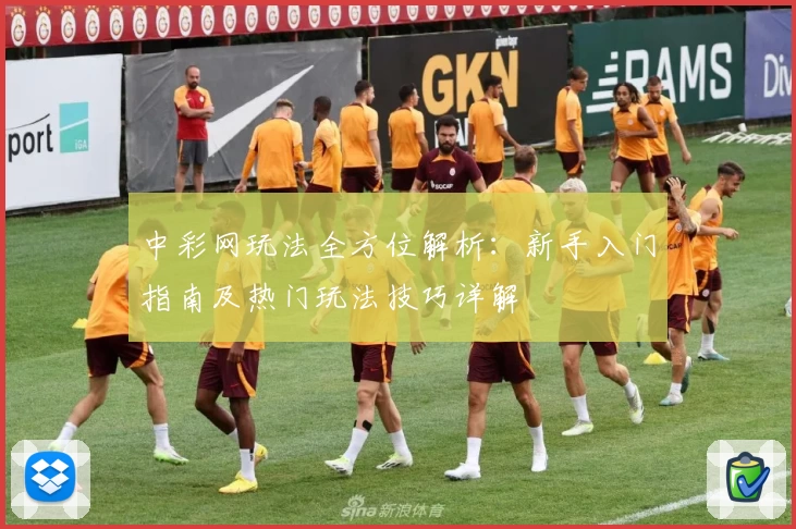 中彩网玩法全方位解析：新手入门指南及热门玩法技巧详解