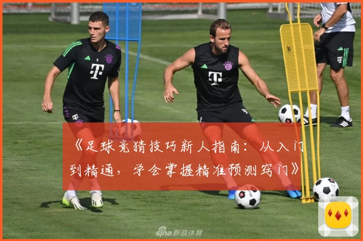 《足球竞猜技巧新人指南：从入门到精通，学会掌握精准预测窍门》